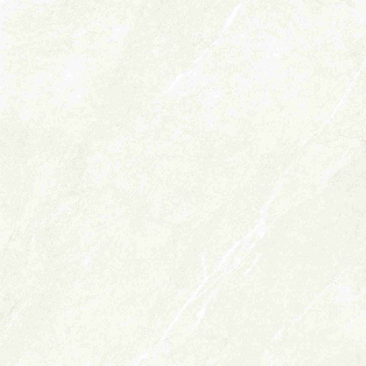 Dhara White Matte 48 x 48